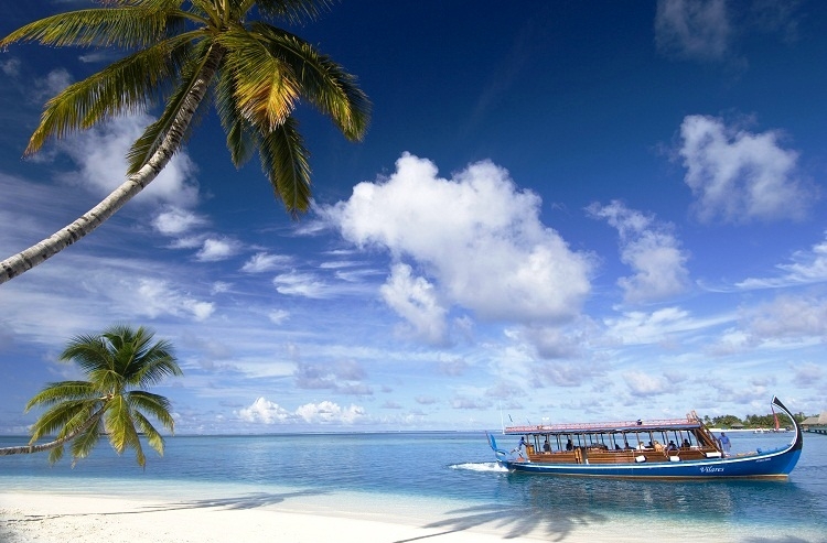 TRAC Rep will market Maldives Tourism in India