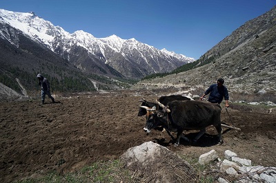 Sangla Valley in Kinnaur District of Himachal Pradesh  Photo by Mr. T. Narayan